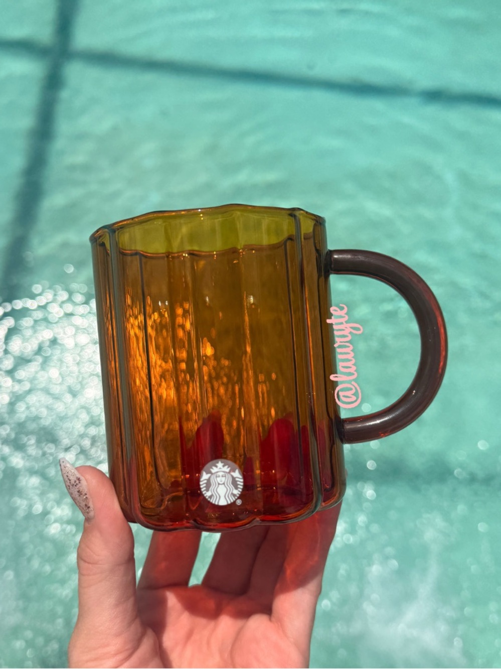 Starbucks 2026 Fall Tinted Scalloped Glass Cup